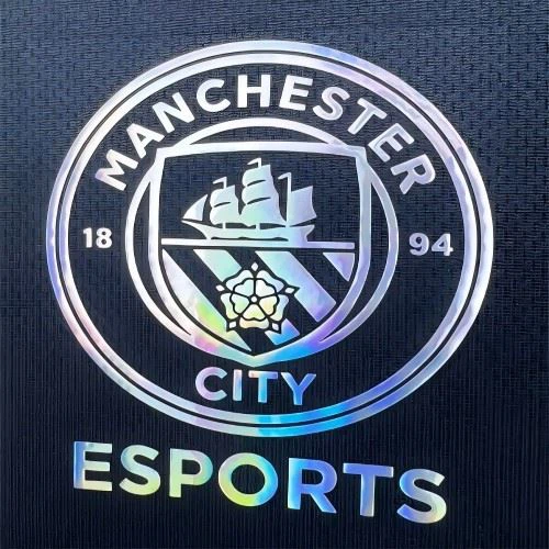 Simfonična vinilna nalepka za prenos toplote za oblačila